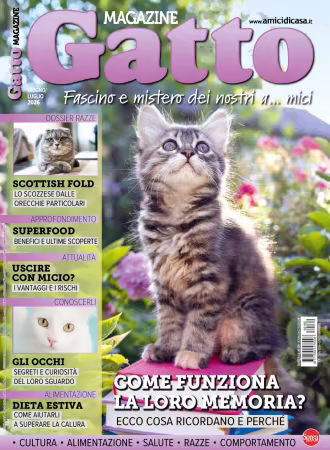 Gatto Magazine - Giugno/Luglio 2026