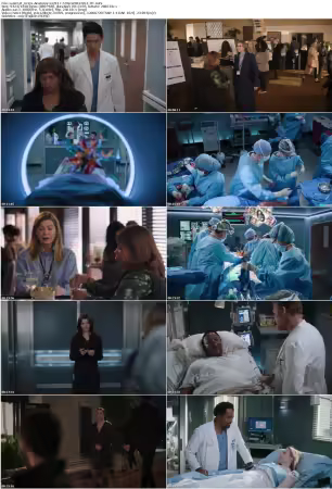 Greys Anatomy S22E17 720p WEB H264-JFF