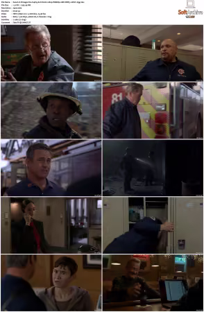 Chicago Fire S14 1080p WEBRip 10Bit DDP5.1 HEVC-d3g