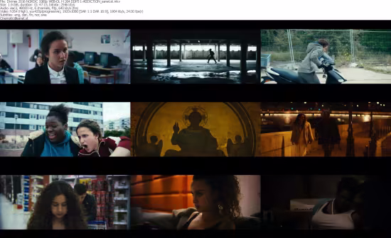 Divines 2016 NORDiC 1080p WEB-DL H264-ADDICTION