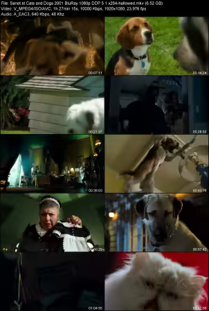Cats and Dogs 2001 BluRay 1080p DDP 5.1 x264-hallowed