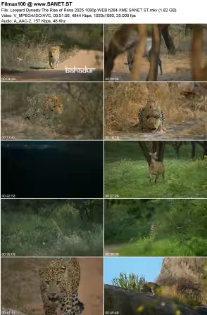 Leopard Dynasty The Rise of Rana 2025 1080p WEB h264-XME