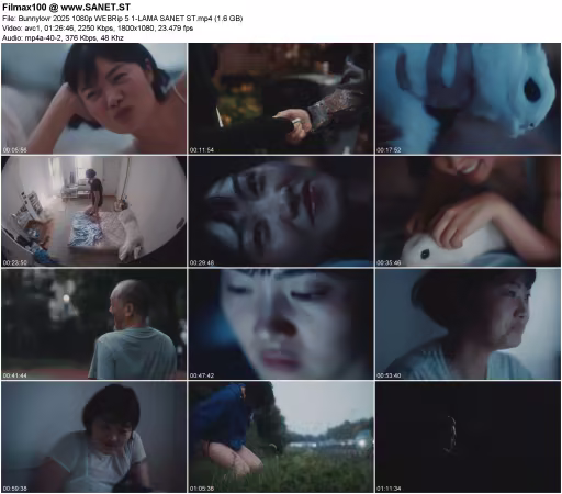 Bunnylovr 2025 1080p WEBRip 5.1-LAMA
