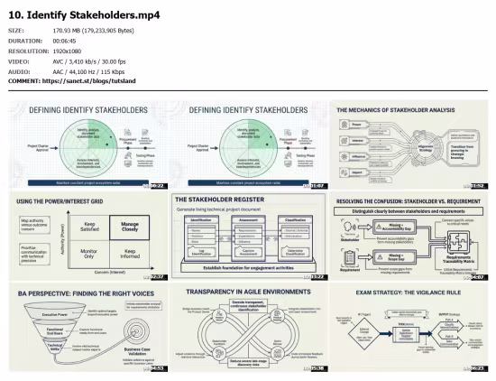 CAPM Certification: Manage Risk, Procurement &amp; Stakeholders