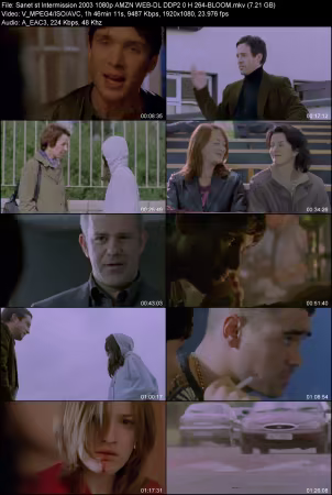 Intermission 2003 1080p AMZN WEB-DL DDP 2.0 H264-BLOOM