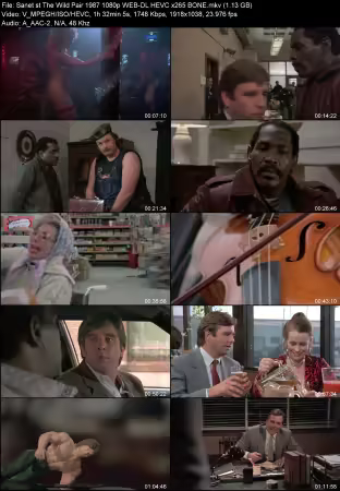 The Wild Pair 1987 1080p WEB-DL HEVC x265 BONE