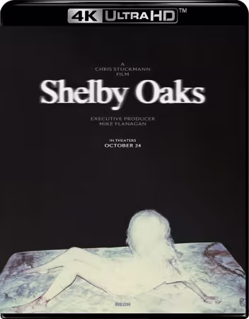 Shelby Oaks 2025 2160p HamiVideo WEB-DL H264 DD5.1-UBWEB