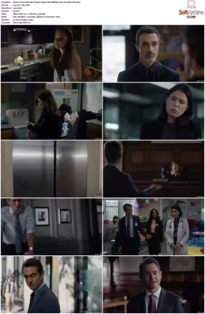 Law and Order S25 1080p 10bit WEBRip 6CH x265 HEVC-PSA
