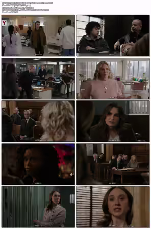 Law And Order SVU S27E19 XviD-AFG