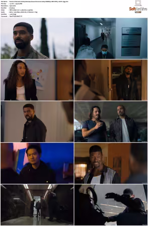 Nemesis 2026 S01 1080p WEBRip 10Bit DDP5.1 HEVC-d3g