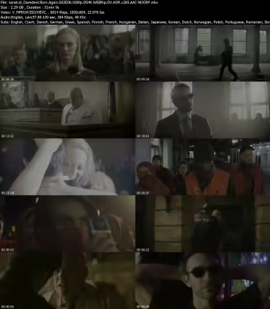Daredevil Born Again S02E08 1080p DS4K WEBRip DV HDR x265 AAC-NOGRP
