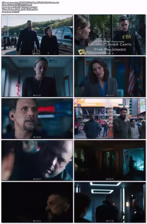 FBI S08E22 1080p AV1 10bit-MeGusta