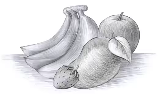 How to sketch fruit