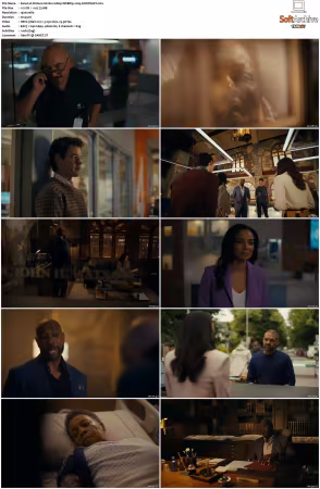 Watson S02 1080p WEBRip x265-KONTRAST
