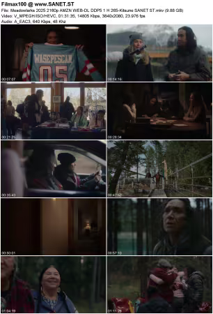 Meadowlarks 2025 2160p AMZN WEB-DL DDP5.1 H265-Kitsune