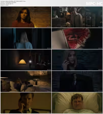 Oddity 2024 BDRip x264-PiGNUS
