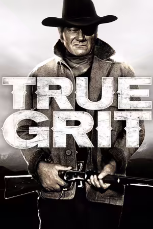 True Grit 2010 NORDiC 1080p WEB-DL H264 DDP 2.0-ADDICTION