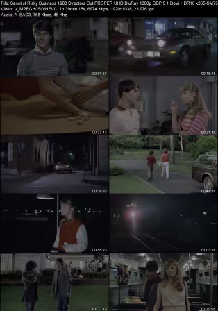 Risky Business 1983 Directors Cut PROPER UHD BluRay 1080p DDP 5.1 DoVi HDR10 x265-SM737