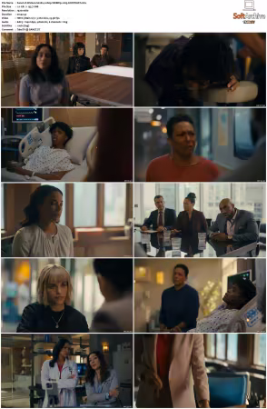 Watson S02 1080p WEBRip x265-KONTRAST