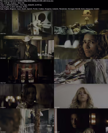 Euphoria US S03E06 1080p DS4K WEBRip DV HDR x265-Zinnie