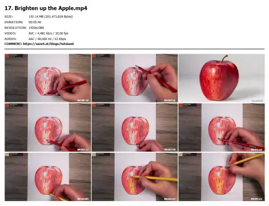 Realistic Drawings With Colored Pencils: A Beginner's Guide