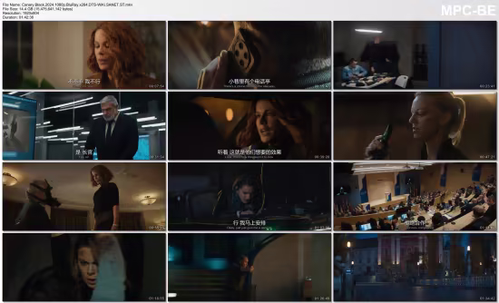 Canary Black 2024 1080p BluRay x264 DTS-WiKi