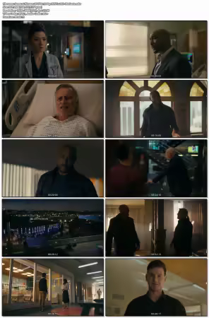 Watson S02E20 1080p HEVC x265-MeGusta