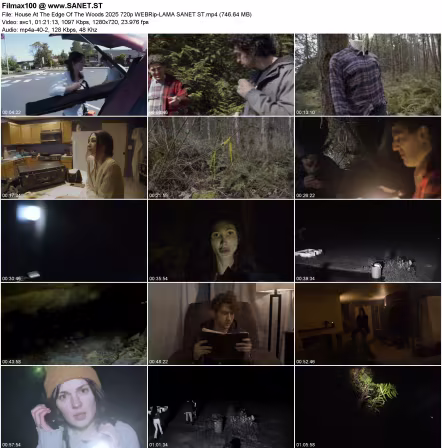 House At The Edge Of The Woods 2025 720p WEBRip-LAMA