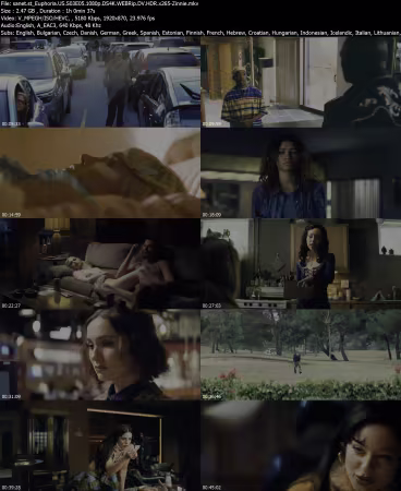 Euphoria US S03E05 1080p DS4K WEBRip DV HDR x265-Zinnie