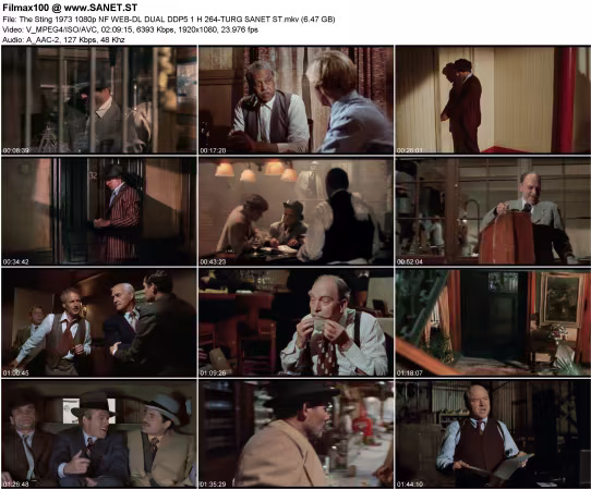 The Sting 1973 1080p NF WEB-DL DUAL DDP5.1 H264-TURG