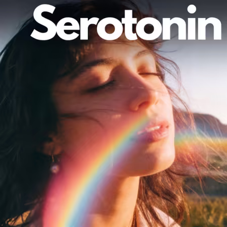 Various Artists - Serotonin (2026)