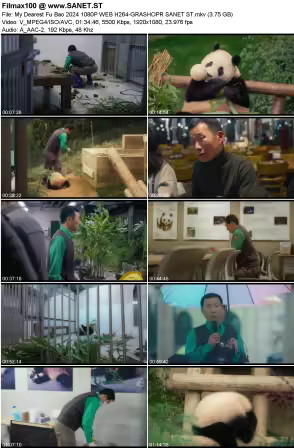 My Dearest Fu Bao 2024 1080P WEB H264-GRASHOPR