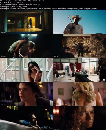 Euphoria US S03E06 1080p WEB-DL H264-Bamboo