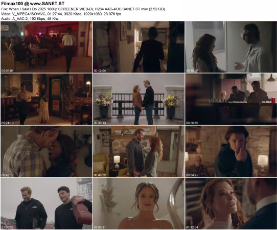 When I Said I Do 2025 1080p SCREENER WEB-DL H264 AAC-AOC