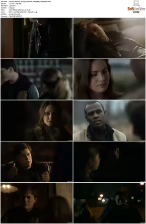 Between S01 S02 1080p WEB H264 DDP5.1-DERMAGiC