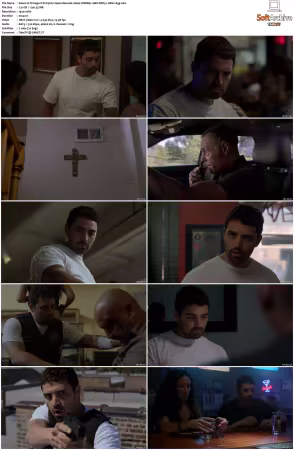 Chicago P D S13 1080p WEBRip 10Bit DDP5.1 HEVC-d3g