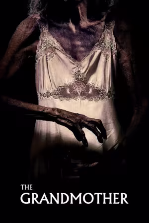 La Abuela 2021 1080p AMZN WEB-DL H264-SPWEB