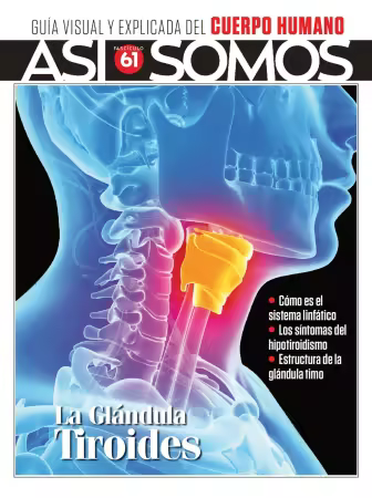 Así Somos El cuerpo humano - Fasciculo 4, 2026