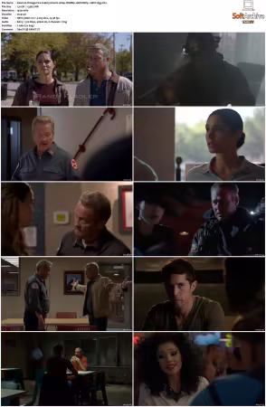 Chicago Fire S14 1080p WEBRip 10Bit DDP5.1 HEVC-d3g