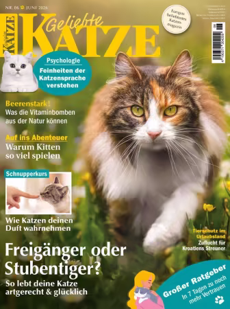 Geliebte Katze - Nr.06 2026