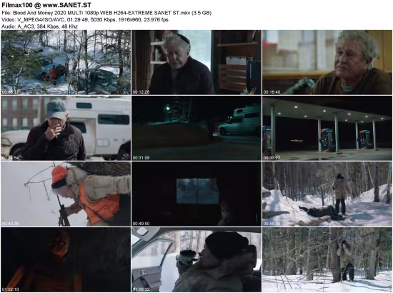 Blood And Money 2020 MULTi 1080p WEB H264-EXTREME
