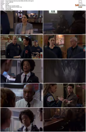 Chicago Fire S14 1080p WEBRip 10Bit DDP5.1 HEVC-d3g