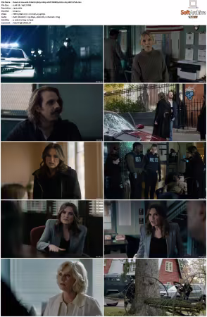 Law and Order S25 1080p 10bit WEBRip 6CH x265 HEVC-PSA