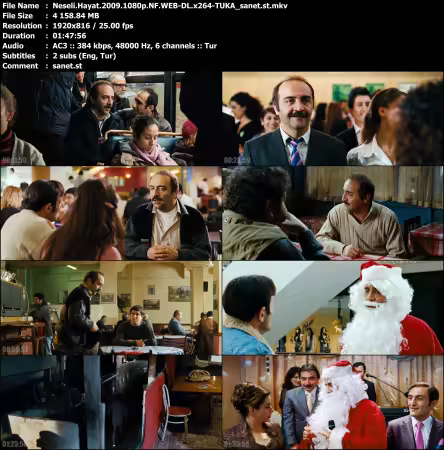 Neseli Hayat 2009 1080p NF WEB-DL x264-TUKA