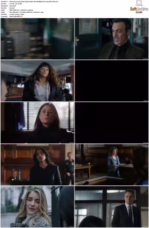 Law and Order S25 1080p 10bit WEBRip 6CH x265 HEVC-PSA