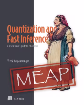 Quantization and Fast Inference : A practitioner’s guide to efficient AI ( MEAP v1)