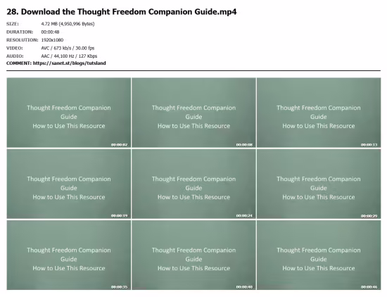 Thought Freedom: Calm Overthinking and Quiet Mental Loops