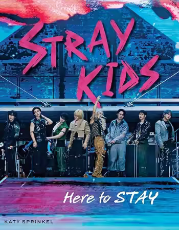 Stray Kids: Here to STAY