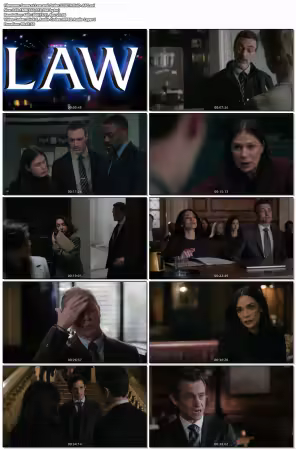 Law and Order S25E19 XviD-AFG