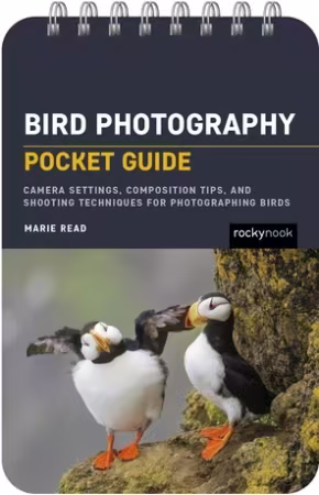 Bird Photography: Pocket Guide